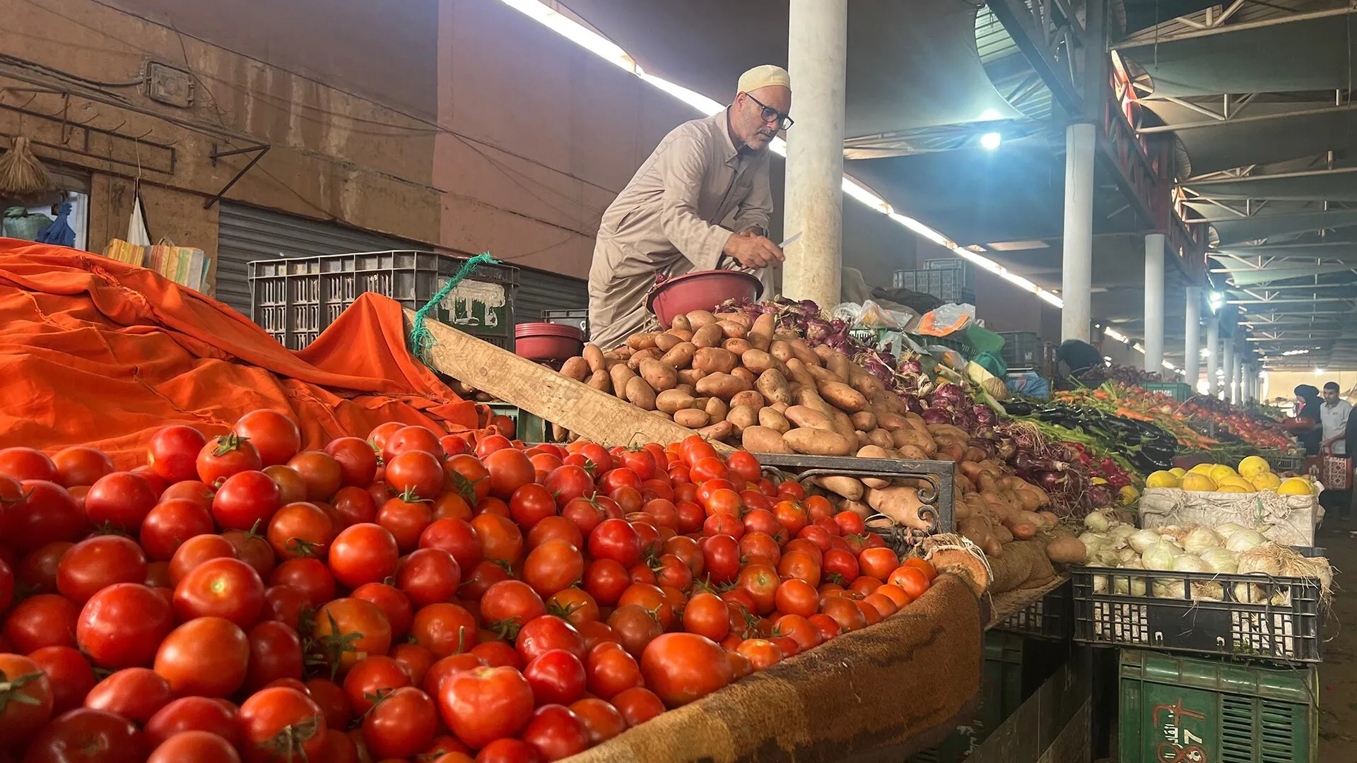 Tomato Prices Skyrocket to 12 Dirhams per Kilo: Consumer Anger and Industry Tensions Rise