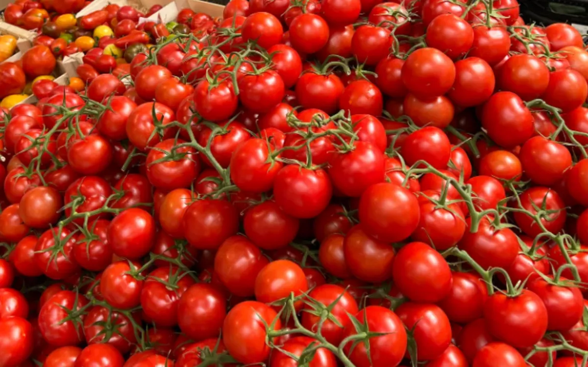 Why Tomato Prices Are Soaring in France: Understanding the Moroccan Crisis