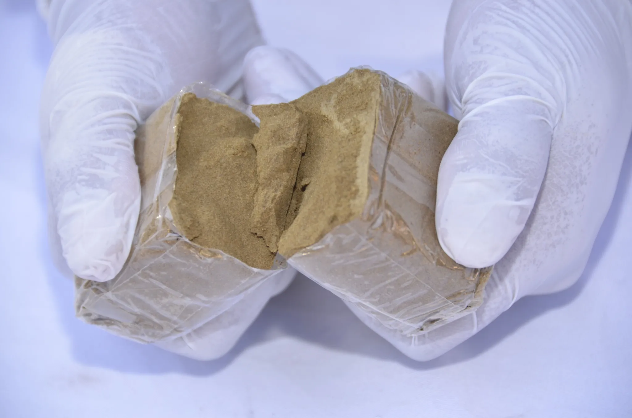 Significant Drug Bust: Over a Quintal of Processed Cannabis Seized from Morocco in Naâma