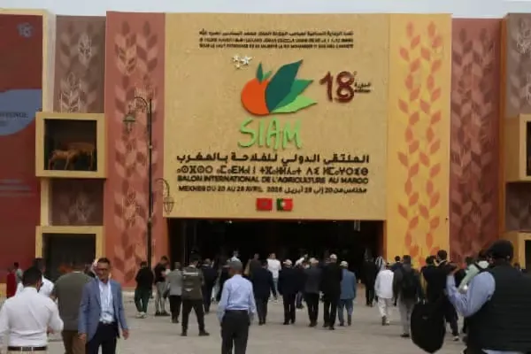 SIAM 2026: The Marrakech-Safi CRI at the Heart of Agro-Industrial Growth