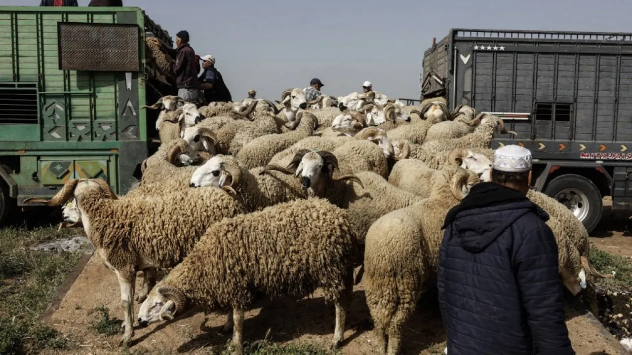 Morocco's Economic Transformation: A Model for Development