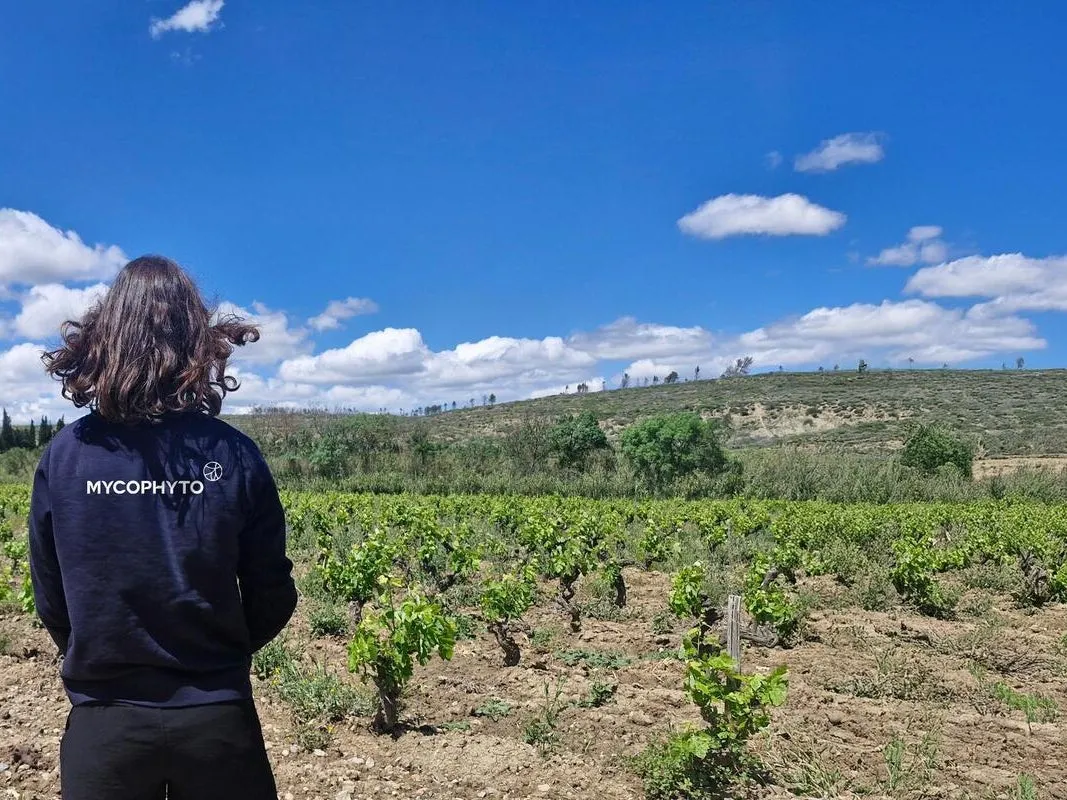 The Significance of a New Subsidiary Opening in Morocco for a Pioneering Biotech Firm from Grasse