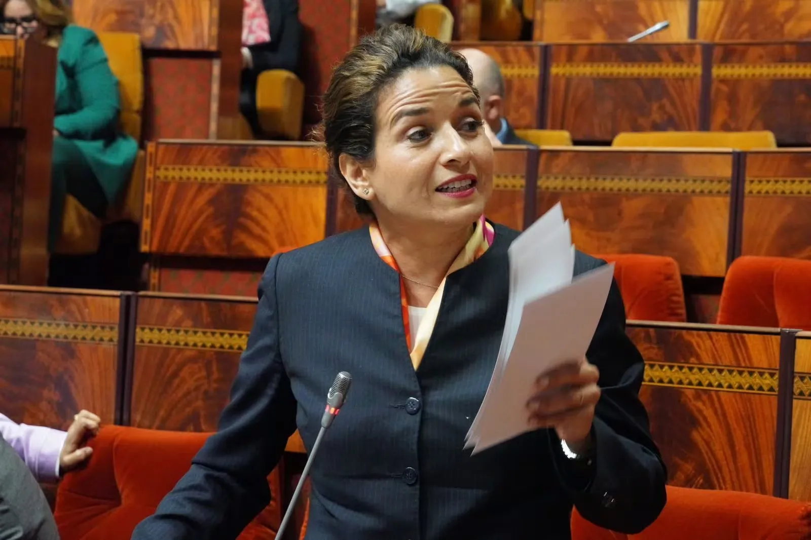 Environmental Concerns Surrounding Oued Mehraz Prompt Parliamentary Inquiry in Fez