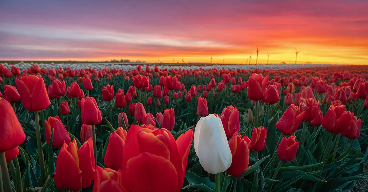Capturing the Weather: A Week of Stunning Moments