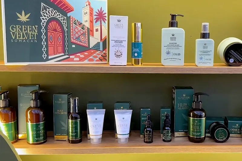 Subscribe Now to Stay Updated with Hespress Daily News