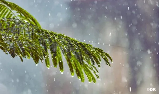 Severe Thunderstorms Expected Across Multiple Regions This Monday and Tuesday