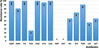 Understanding Antimicrobial Resistance in Uropathogenic Enterobacteriaceae: Insights from Tétouan, Morocco