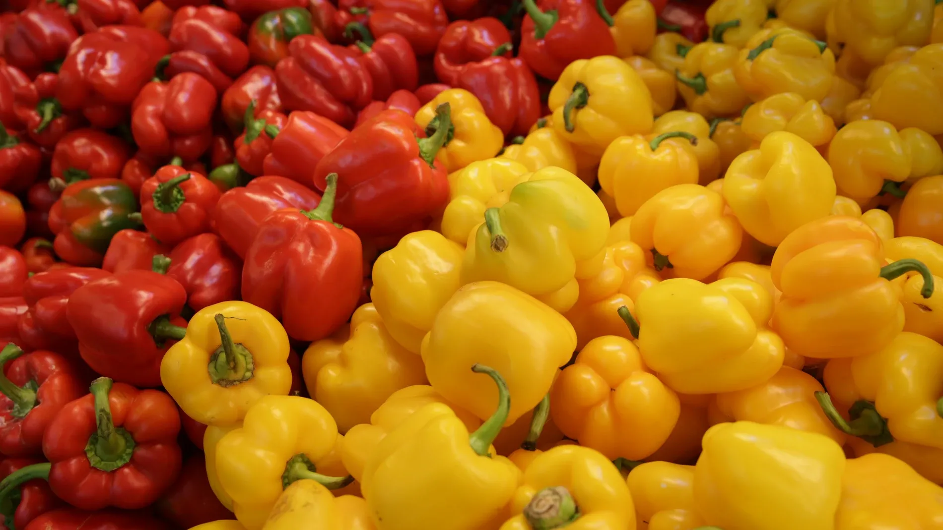 Serious Pesticide Contamination Alert for Moroccan Peppers in Europe
