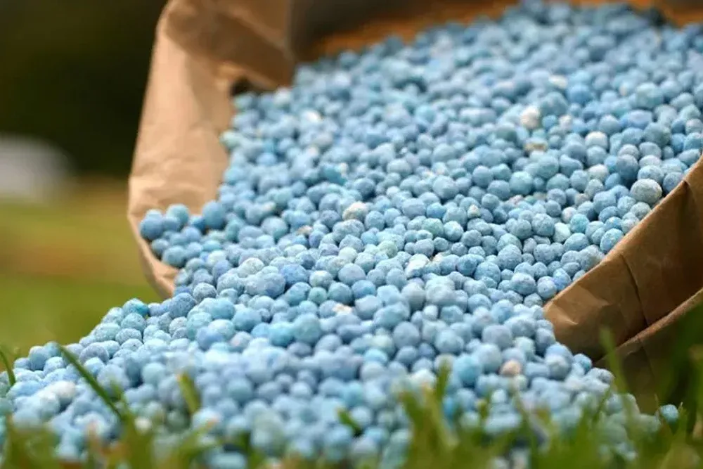 US Phosphate Battle Favors Morocco Amidst Trade Tensions