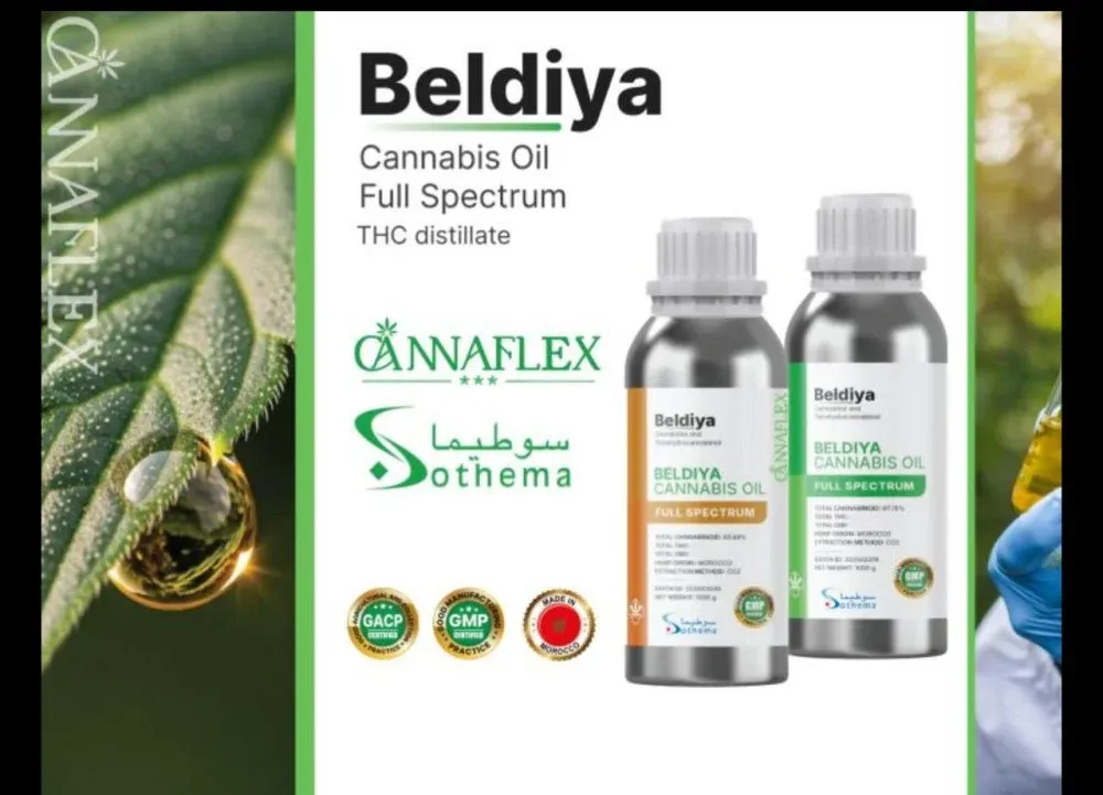 Morocco Makes Historic Move by Exporting GMP-Certified Pharmaceutical Cannabis Extract