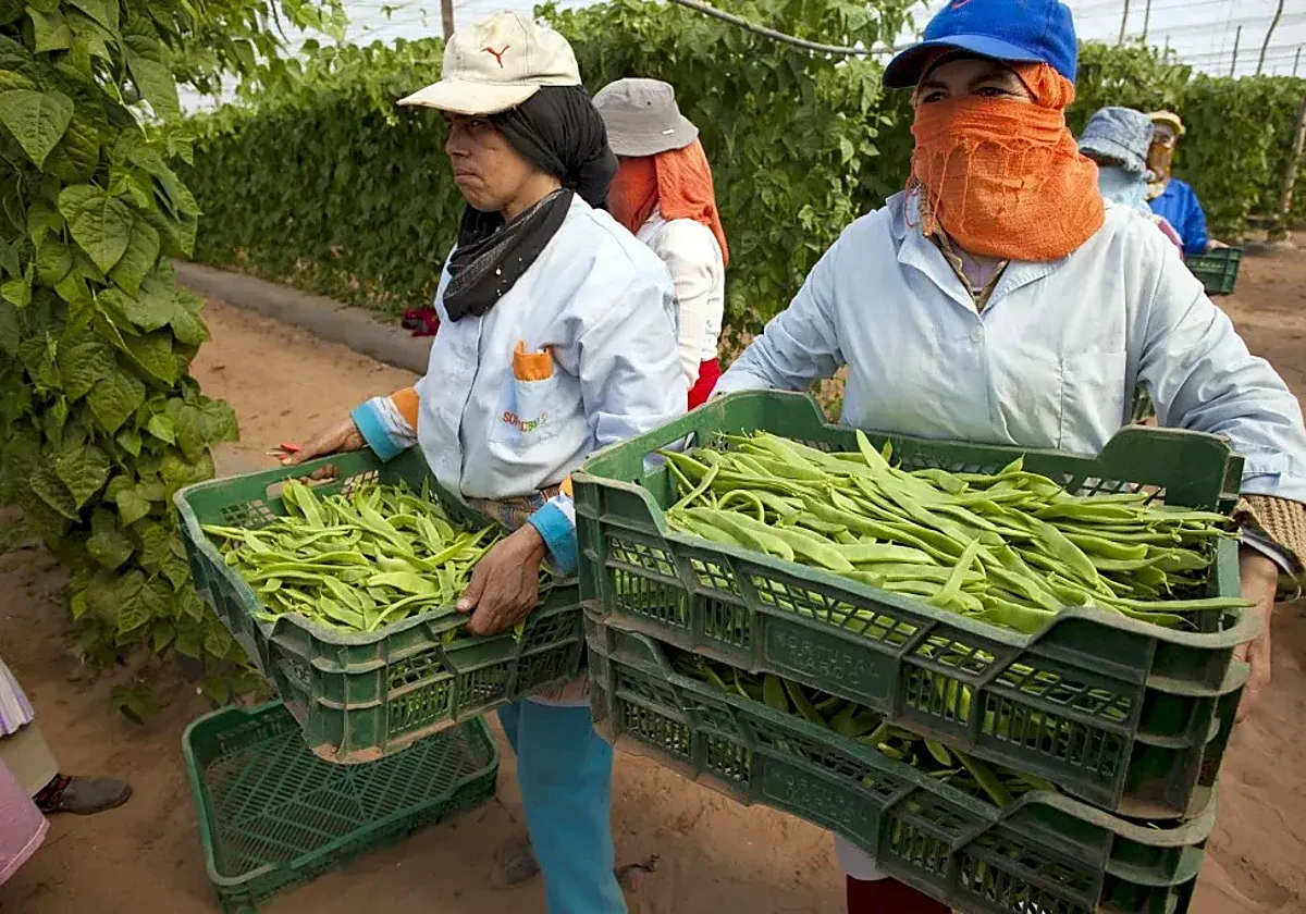 Murcia's Agricultural Imports from Morocco Surge Amid Economic Changes