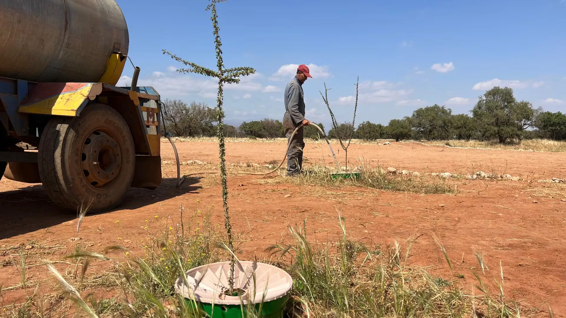 Waterbox Technology: A Game Changer for Reforestation in Arid Zones of Souss-Massa