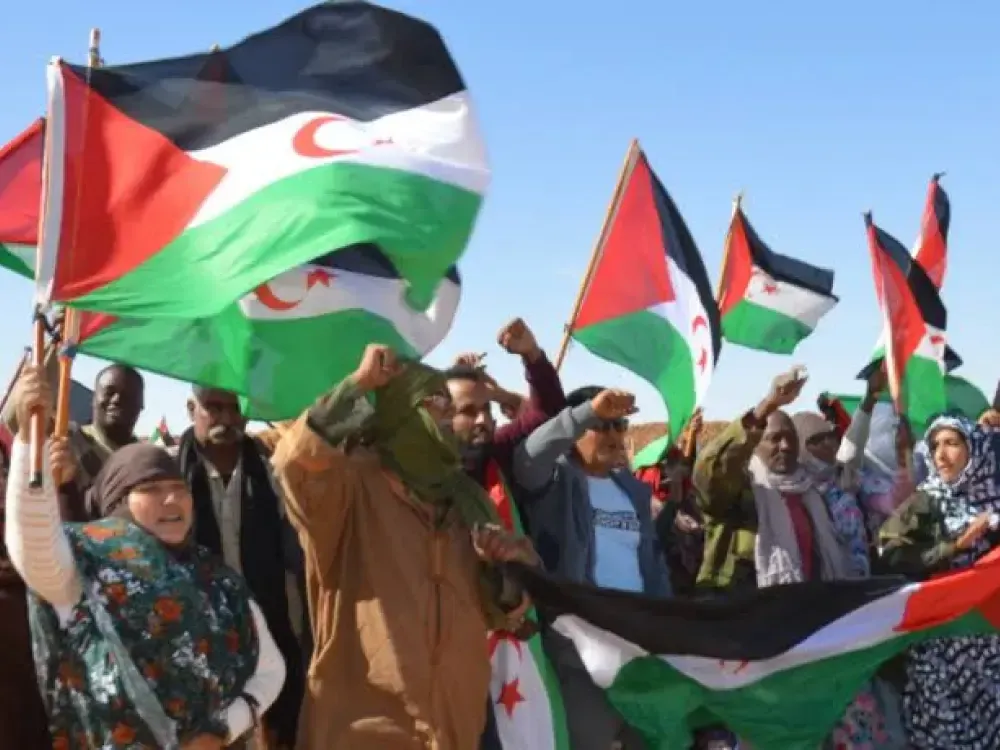Escalating Repression in Western Sahara: A Testimony of Courage Against Intimidation