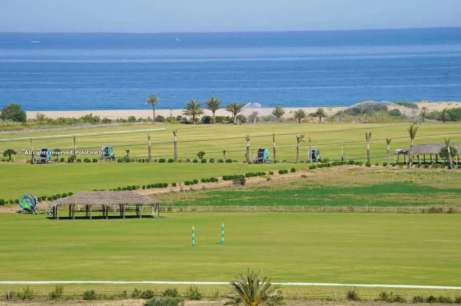The Mohammed VI International Trophy: A Premier Polo Event in Morocco
