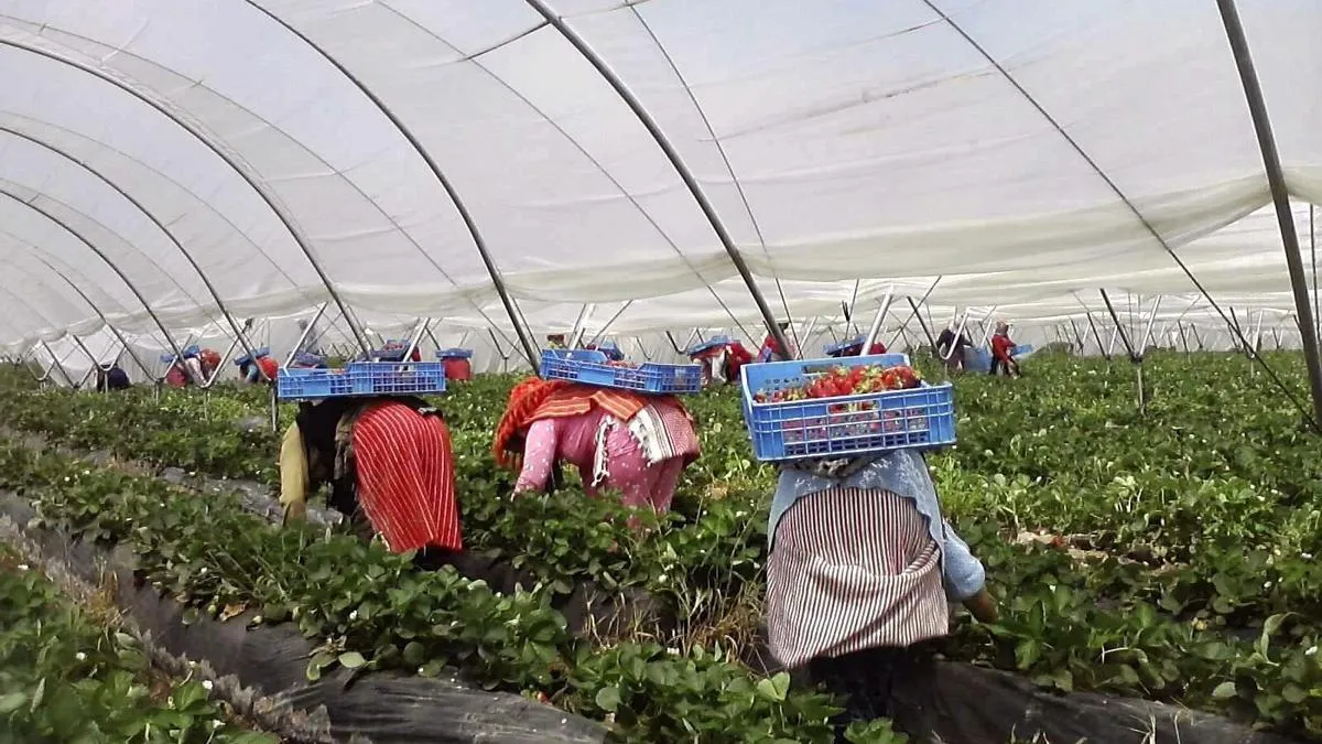 Morocco: A New Destination for Migrants in Search of Opportunities