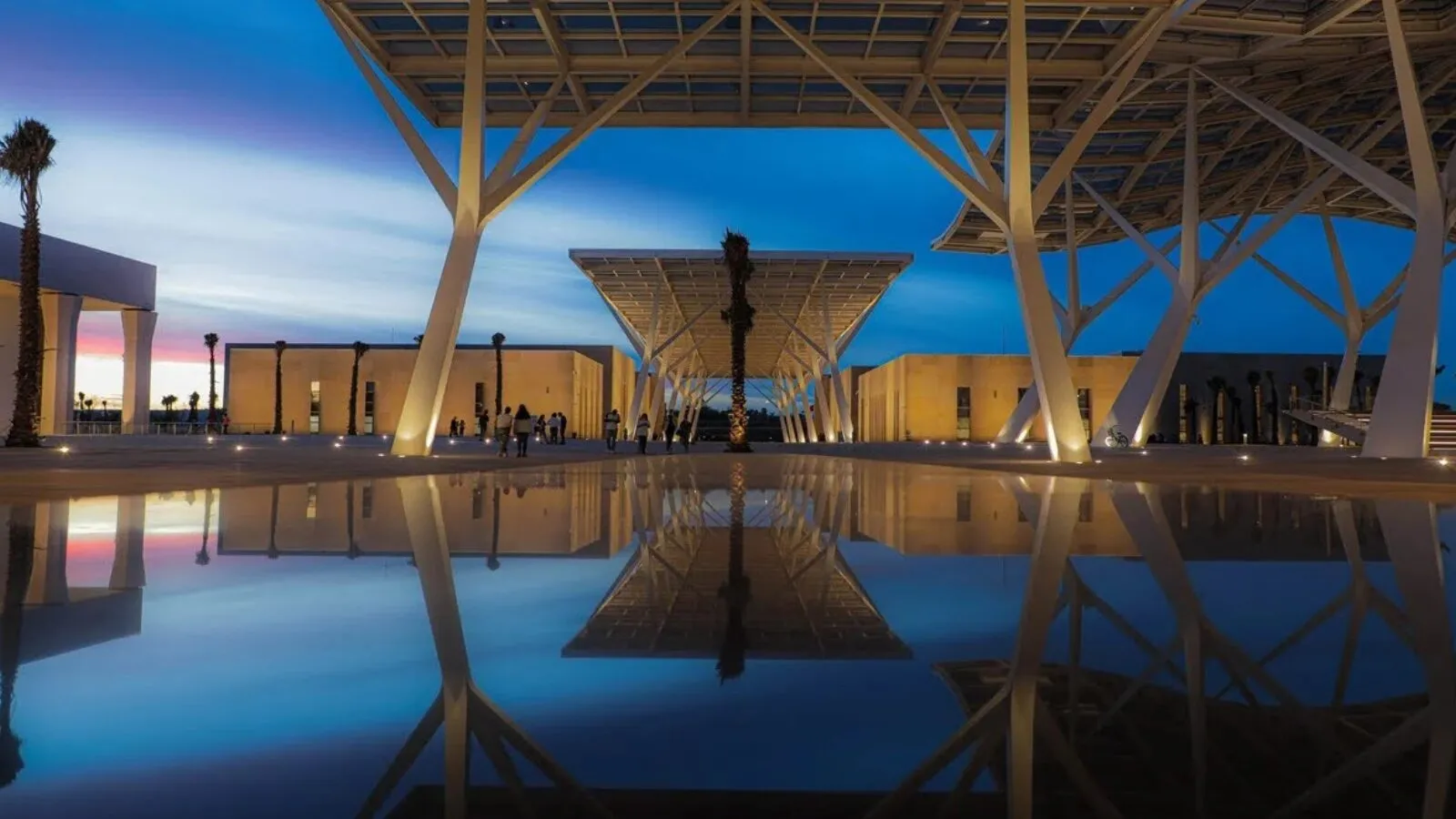 Spring Meeting 2026: A Focus on Resilient Transitions at the Paris Peace Forum