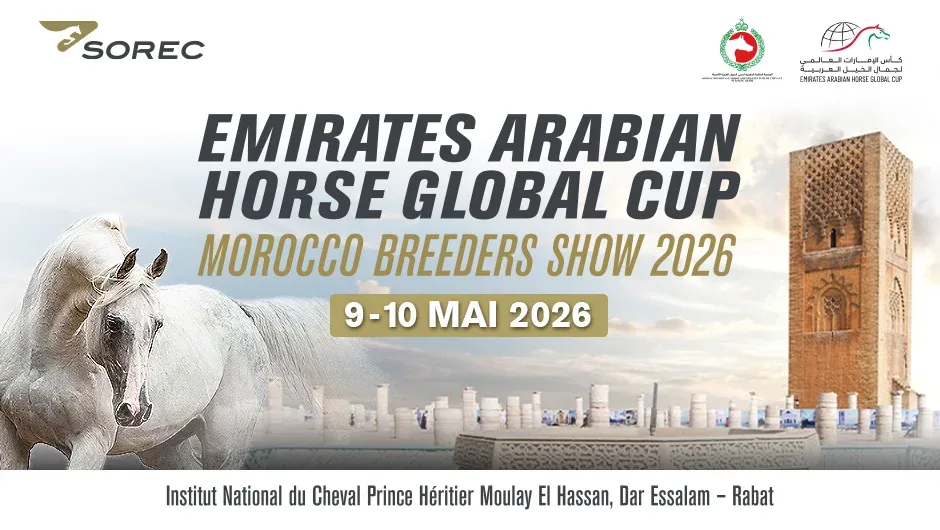 Rabat Set to Host the 2026 Morocco Breeders Show on May 9-10