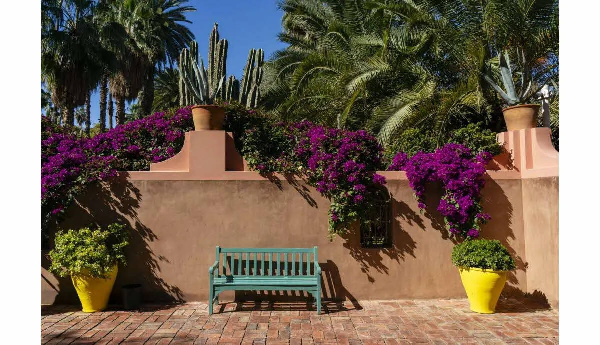 Scam Exposed: Two Friends Duped During 600 Euro Trip to Marrakech