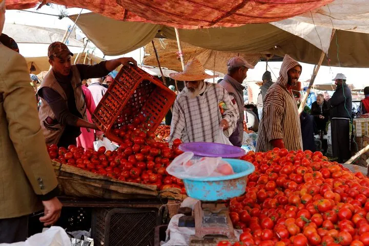 Morocco's Tomato Industry Faces Challenges Ahead of Agadir Summit