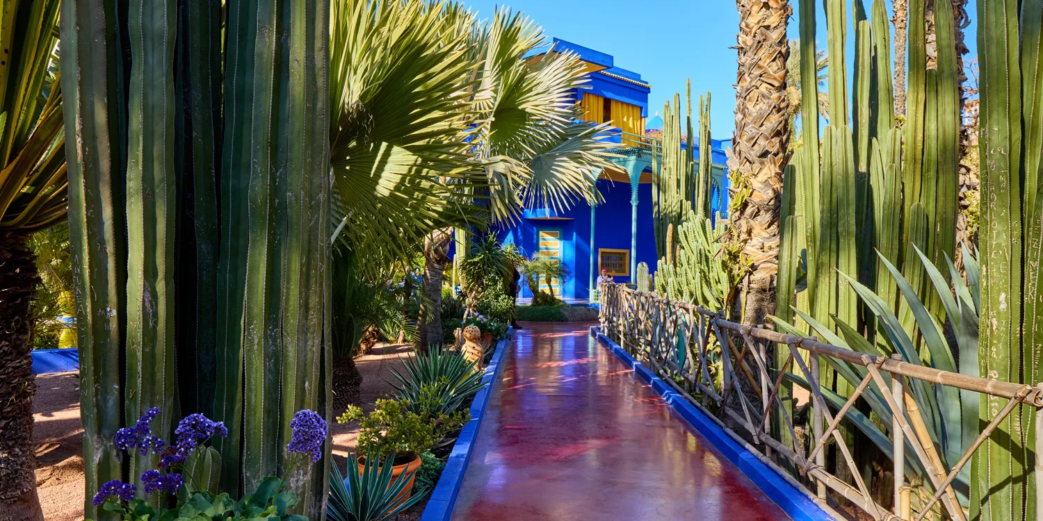 The Art of Moroccan Gardens: A Blend of Andalusian Tradition and Urban Oases