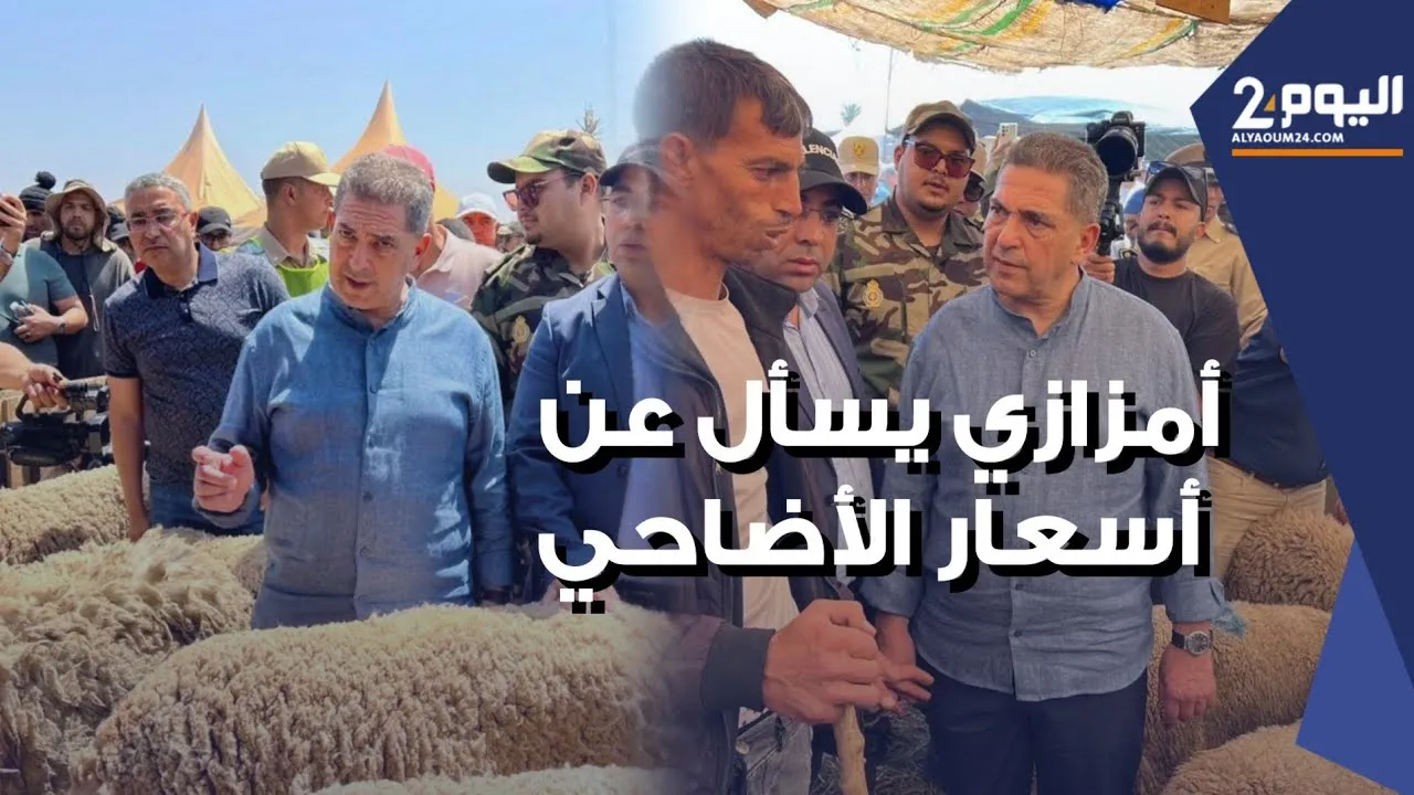 Governor Amzazi Inspects Livestock Market in Agadir-Ida-Outanane