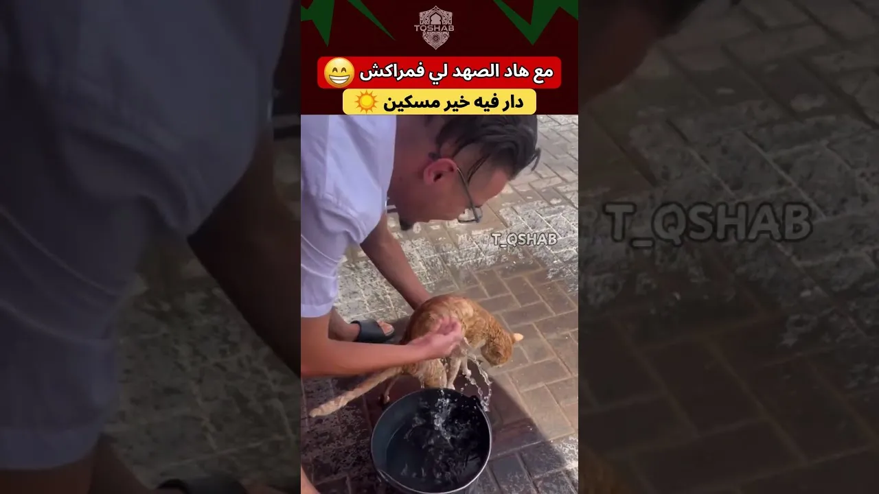 A Heartwarming Moment: A Young Man Cools Down a Cat in Marrakech's Scorching Heat