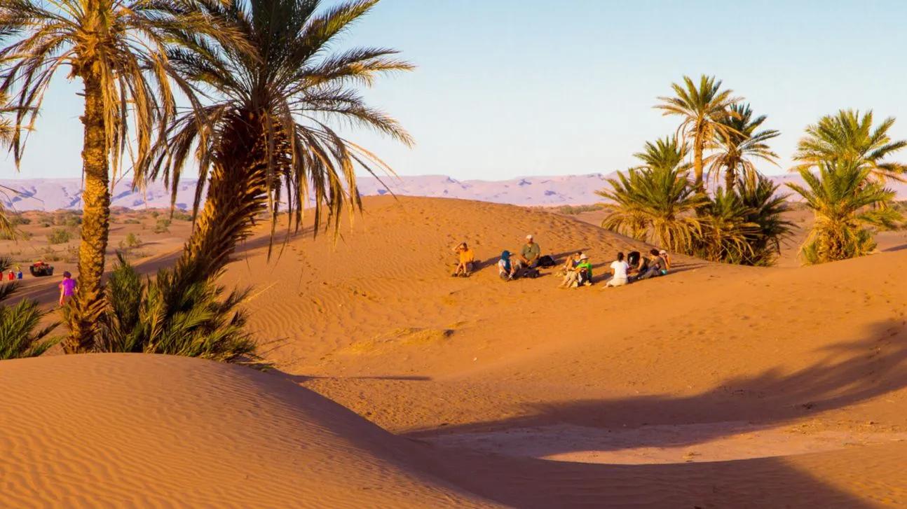 Call for Papers: Exploring the Cultural and Social Dynamics of Ancestral Oasis Heritage