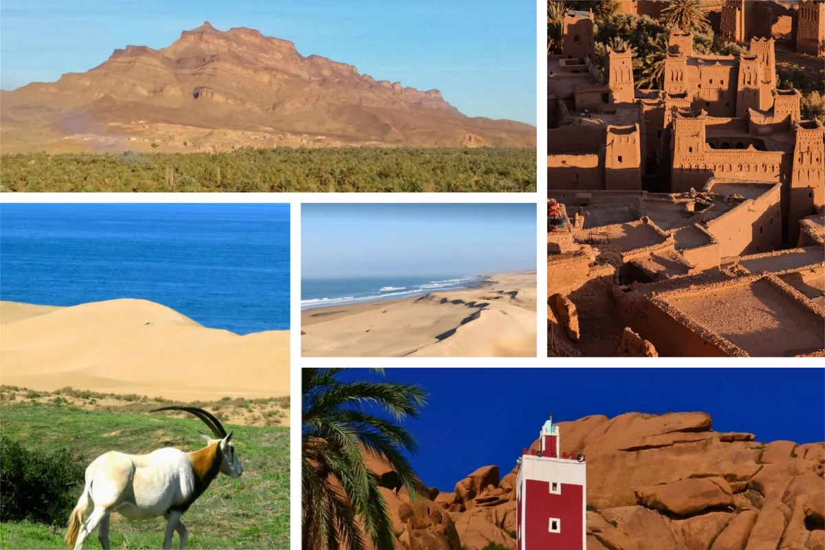 Allo Destinations Expands Offerings with New Air Transat Flight to Agadir