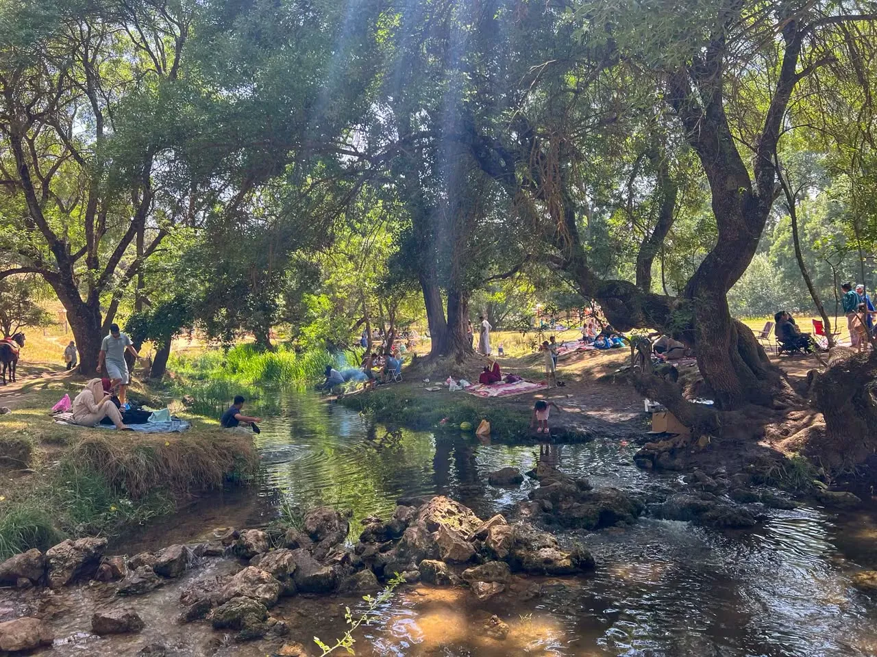 Refreshing Escape: Ifrane's Natural Springs Attract Summer Visitors