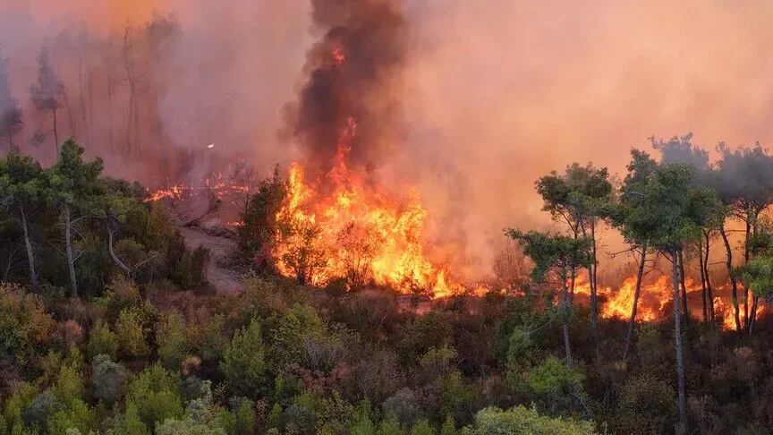 Moroccan Authorities Successfully Extinguish Forest Fires in Tetouan and Taroudant
