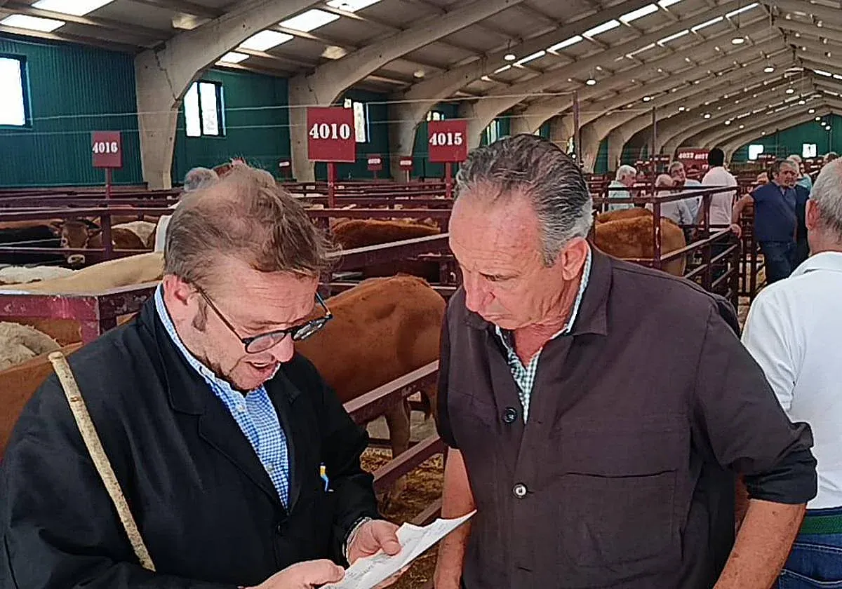 Market Weakness in the Livestock Sector: Challenges and Expectations