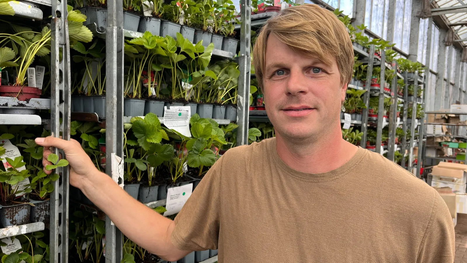 Challenges Facing German Fruit Farmers Amid Rising Costs and Competition