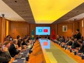 Kazakhstan Targets Morocco to Enhance Wheat Exports in Africa
