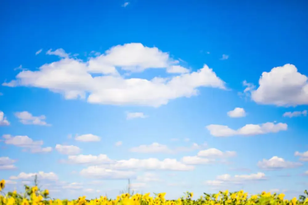 Heat Wave Alert in Morocco Starting July 28