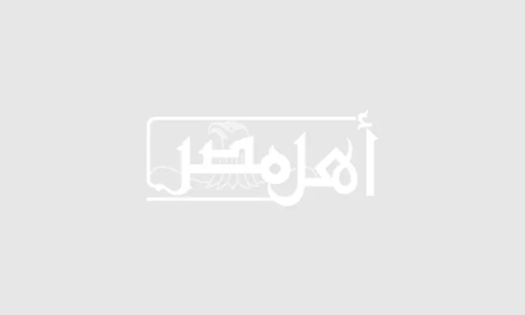 Security Investigates Viral Video of Individual with an Axe in Qena
