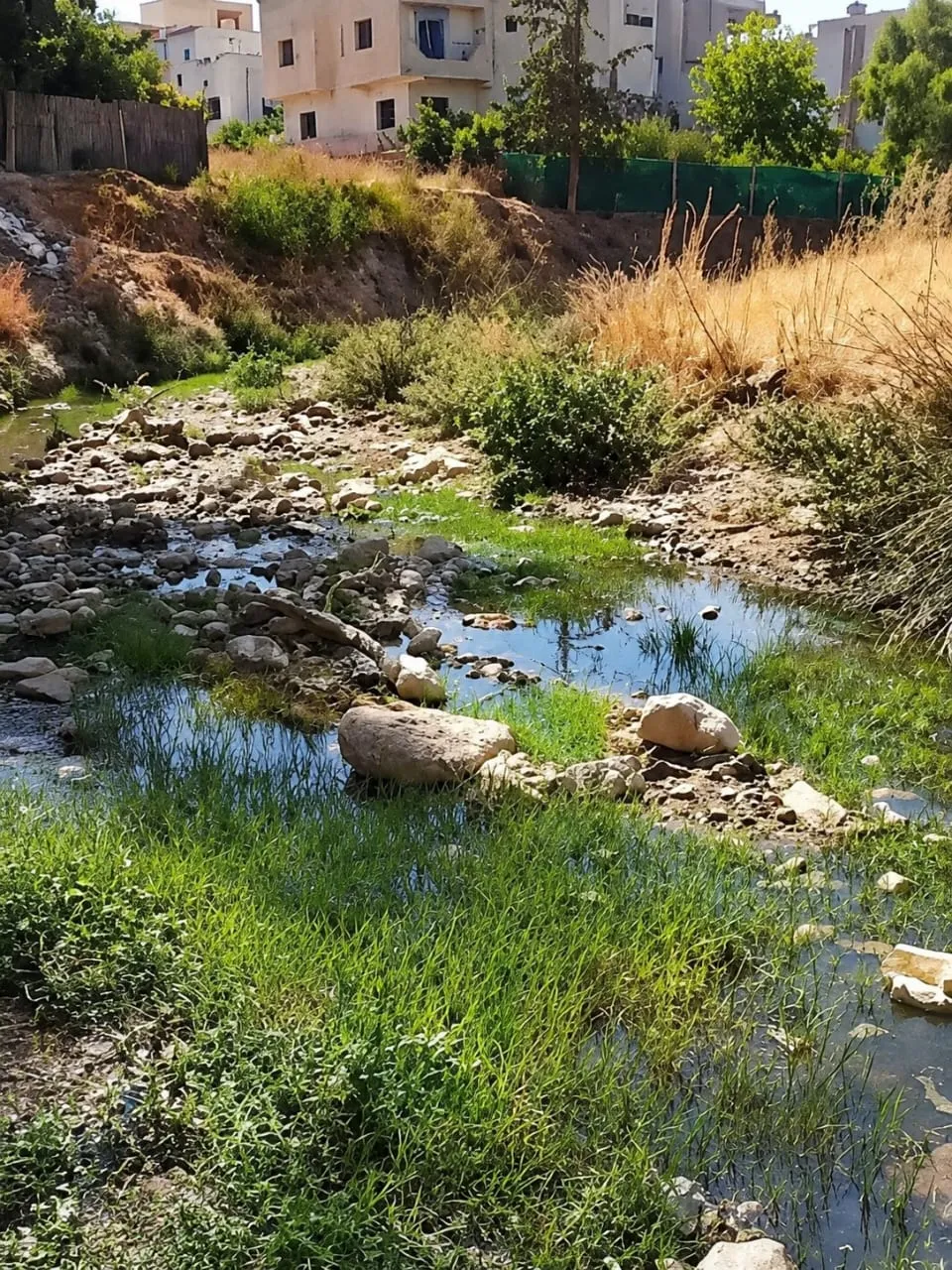 Environmental Scandal in Taza: A River Transformed into a Sewage Dump