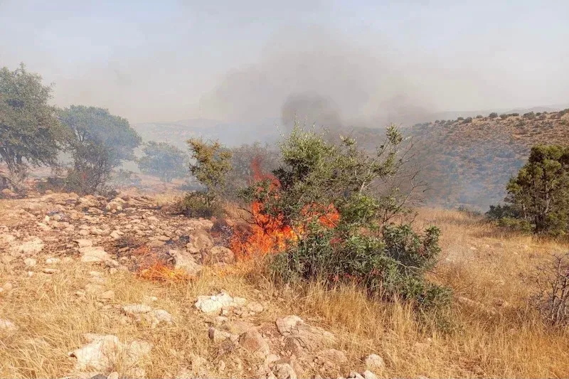 Wildfire Near Agadir Contained After Strong Winds Complicate Efforts