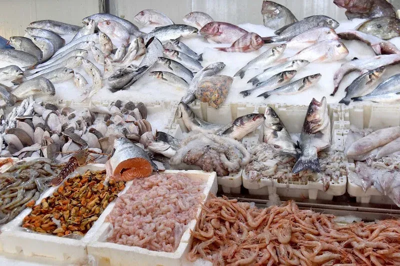 Controversy Erupts Over 'Questionable' Fish in Marrakech's Wholesale Market