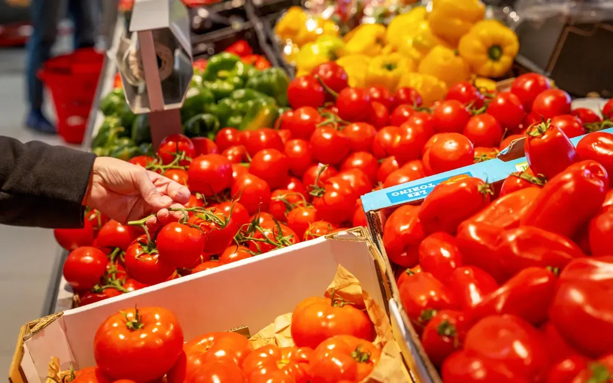 The Surprising Price Surge of Moroccan Snack Tomatoes in the Netherlands