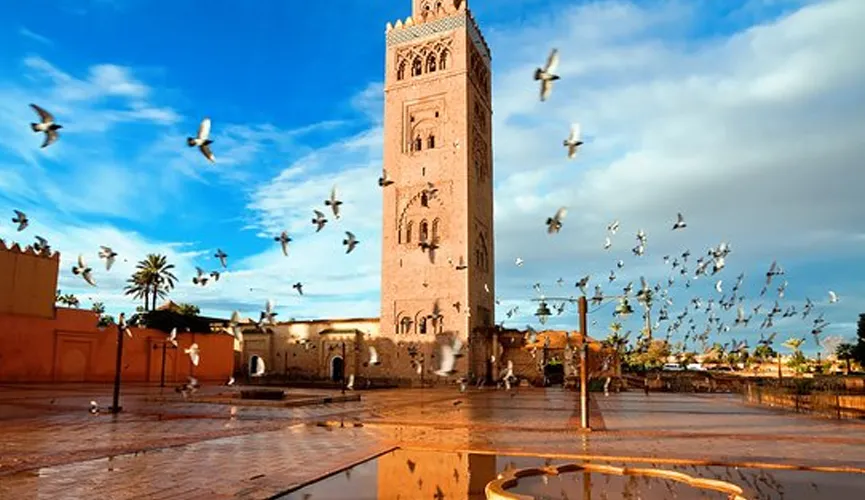 Who Will Liberate Marrakech from Israeli Colonization?