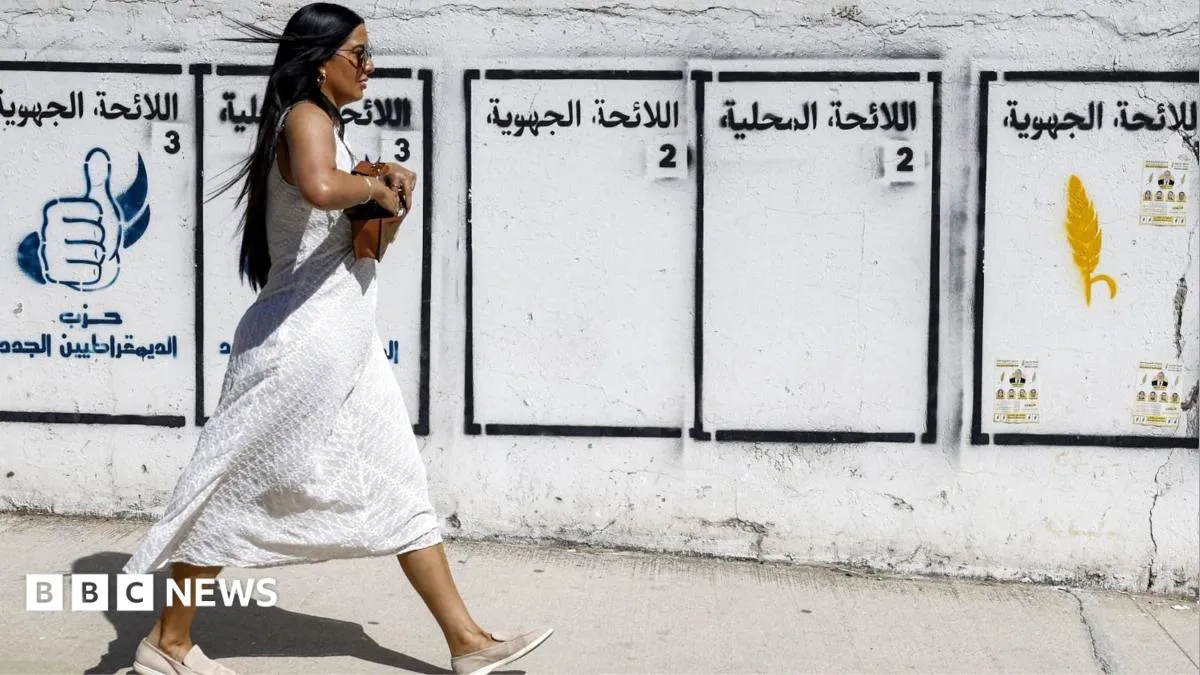 Youth Disillusionment and Political Promises: Morocco's Upcoming Parliamentary Elections