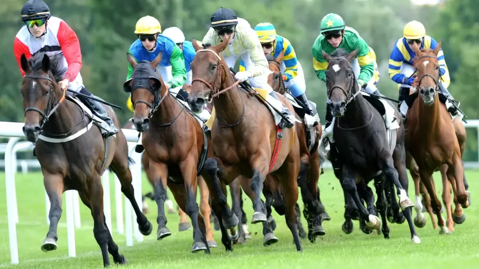 Upcoming Race Analysis: October 5, 2026