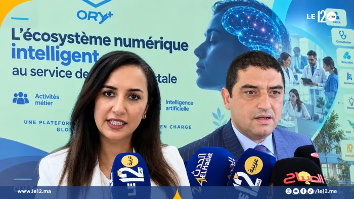 Do Mental Health Patients Find Solutions in Artificial Intelligence? Experts Weigh In