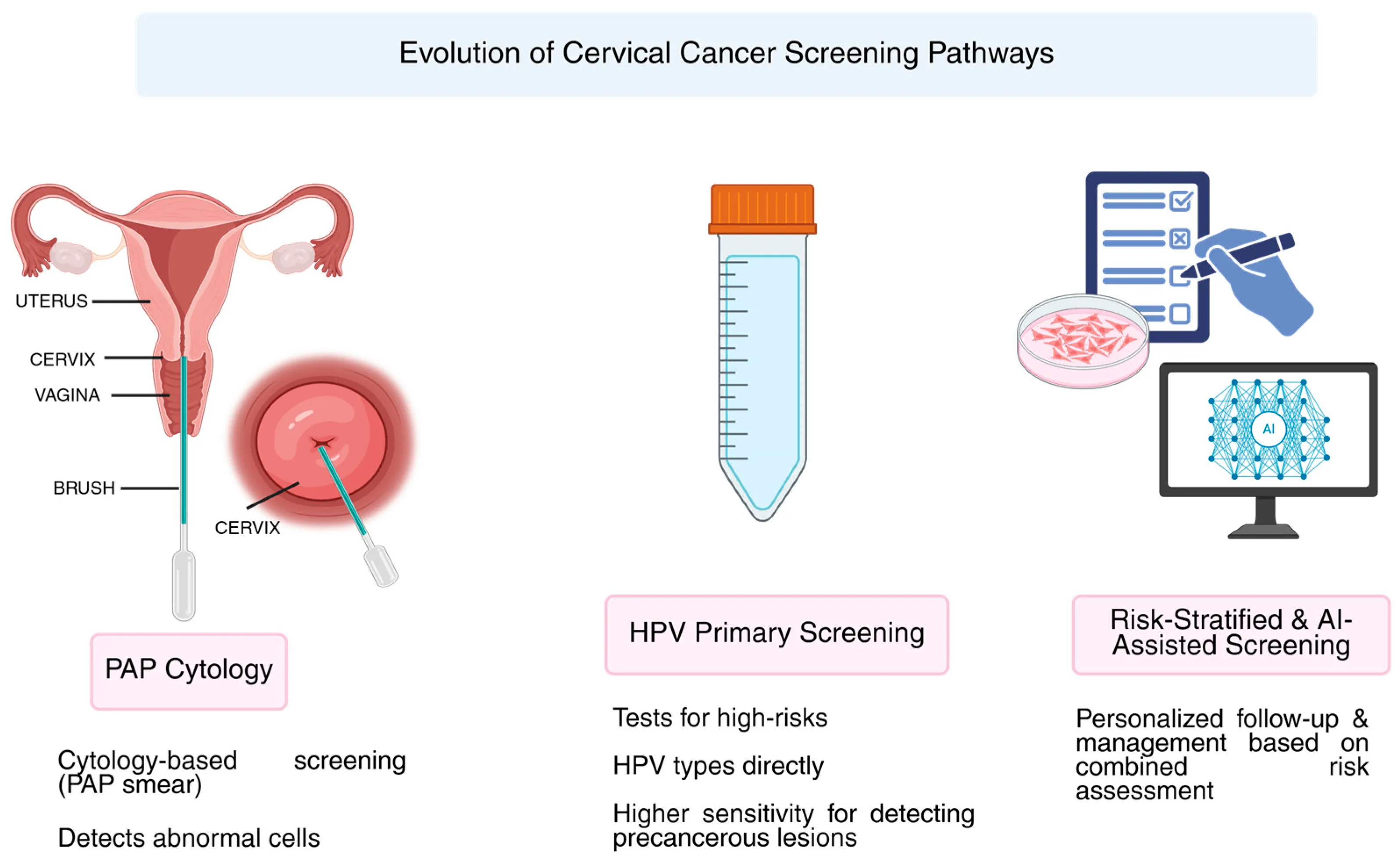 Exploring the Feasibility of HPV Testing for Cervical Cancer Screening in Morocco