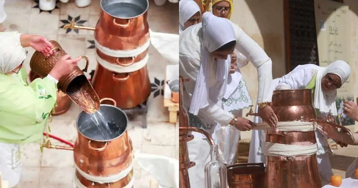 La Zahria 2026: Celebrating the Orange Blossom Heritage in Marrakech