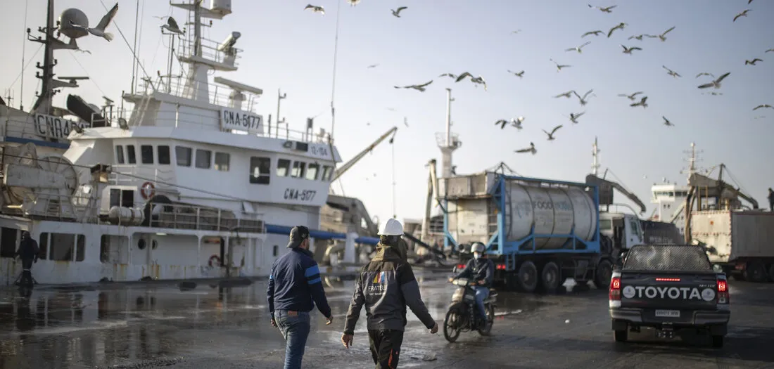 Morocco's Controversial $1.6 Billion Dakhla Atlantic Port Project: An Overview