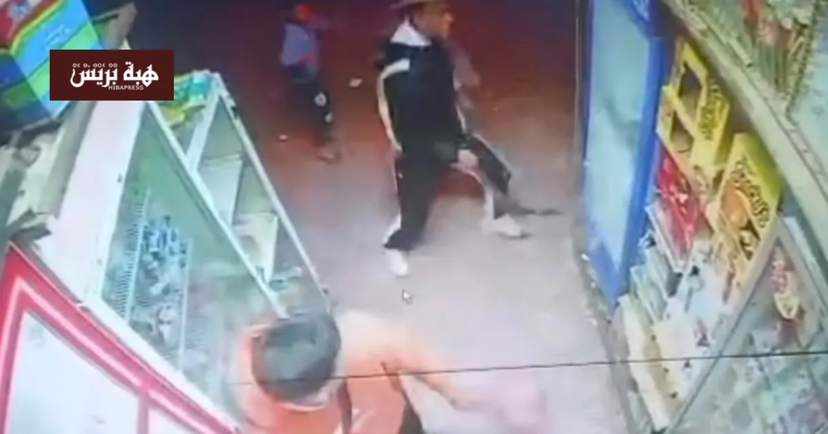 Swift Police Action to Arrest Suspect in Commercial Property Attack