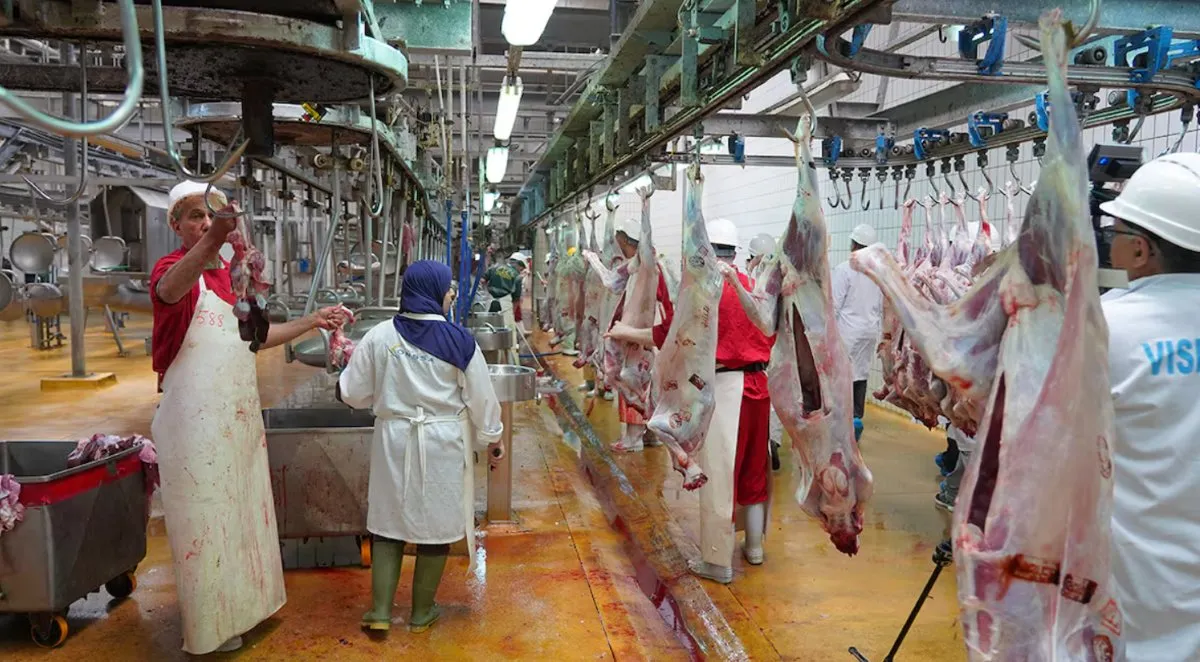 Casablanca Abattoirs: Renewed Certifications and Strengthened Framework