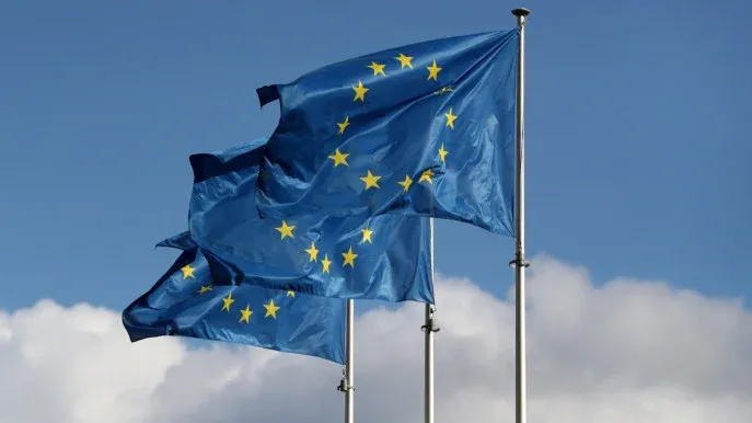 EU Backs Morocco's Autonomy Proposal for Western Sahara as Optimal Solution