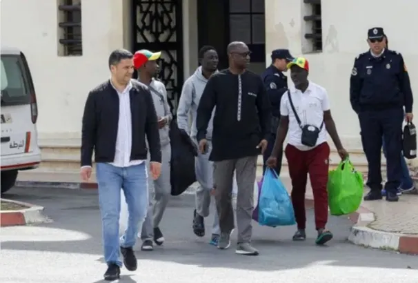 Morocco Releases Senegalese Fans After AFCON Sentences: A Glimpse into Recent Events